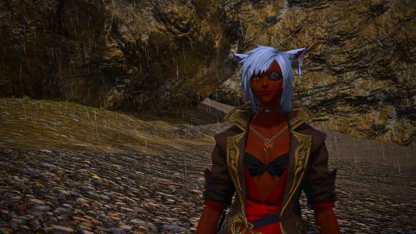 Looking upon the ocean