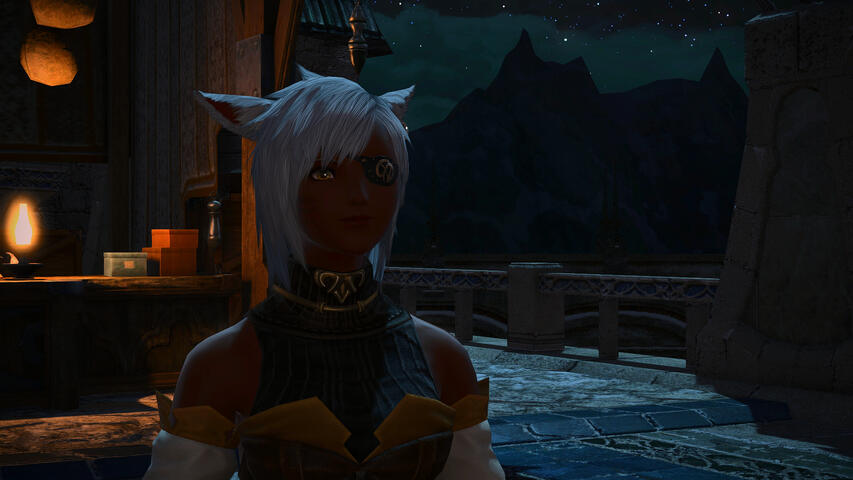 Seeing old friends again