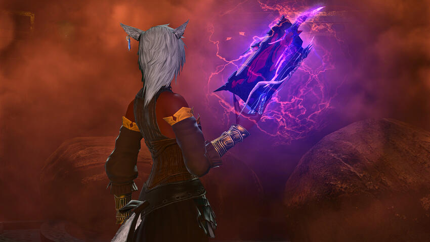 Facing the Challenge