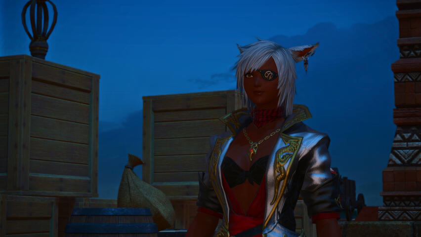 Night Party on the Ship