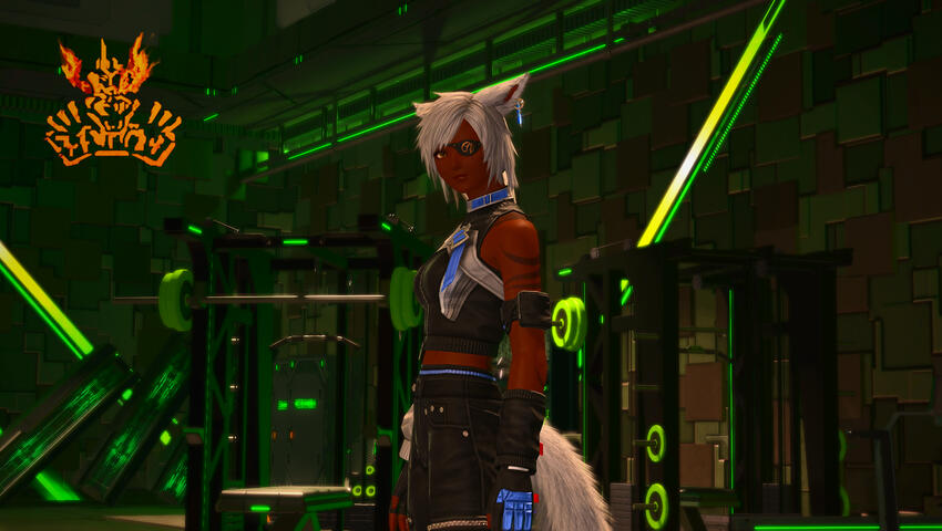 The Arcadian Fighter