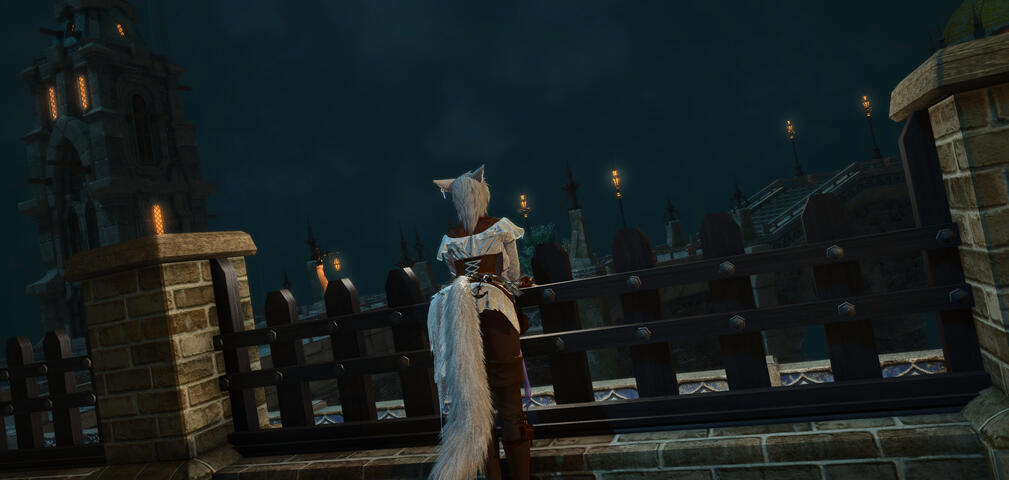 Looking out longingly 1